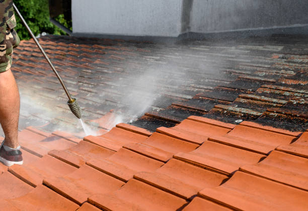 Little Falls, MN Pressure Washing Company