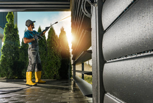 Best Best Pressure Washing Companies  in Little Falls, MN