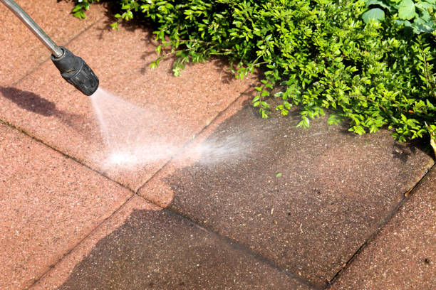 Best Sidewalk Pressure Washing  in Little Falls, MN